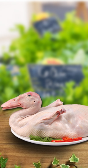 肉鴨產(chǎn)品